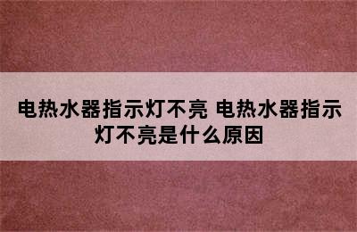 电热水器指示灯不亮 电热水器指示灯不亮是什么原因